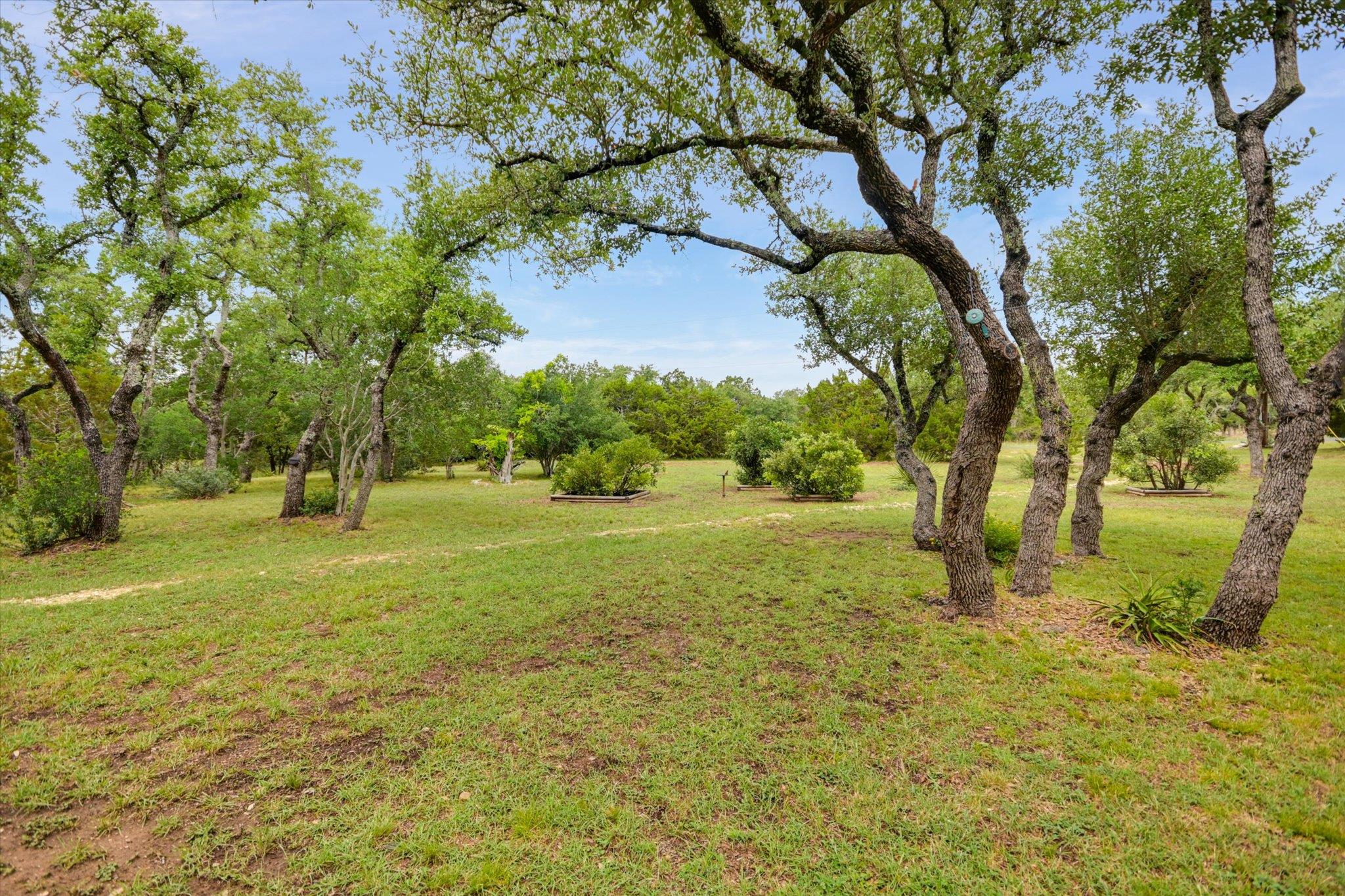 116 Saddlehorn DR
