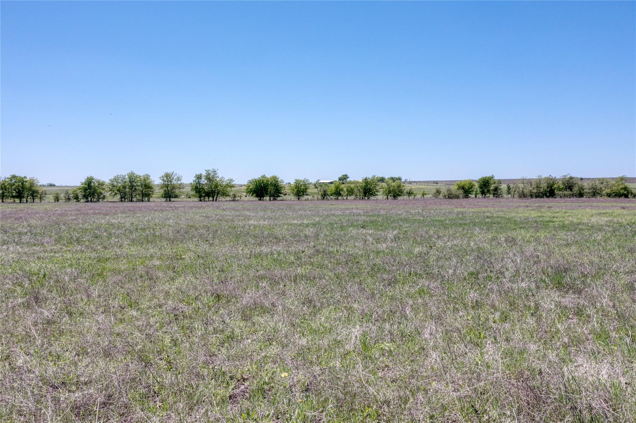 TBD Block 2 Lot 8 Hackberry Lane