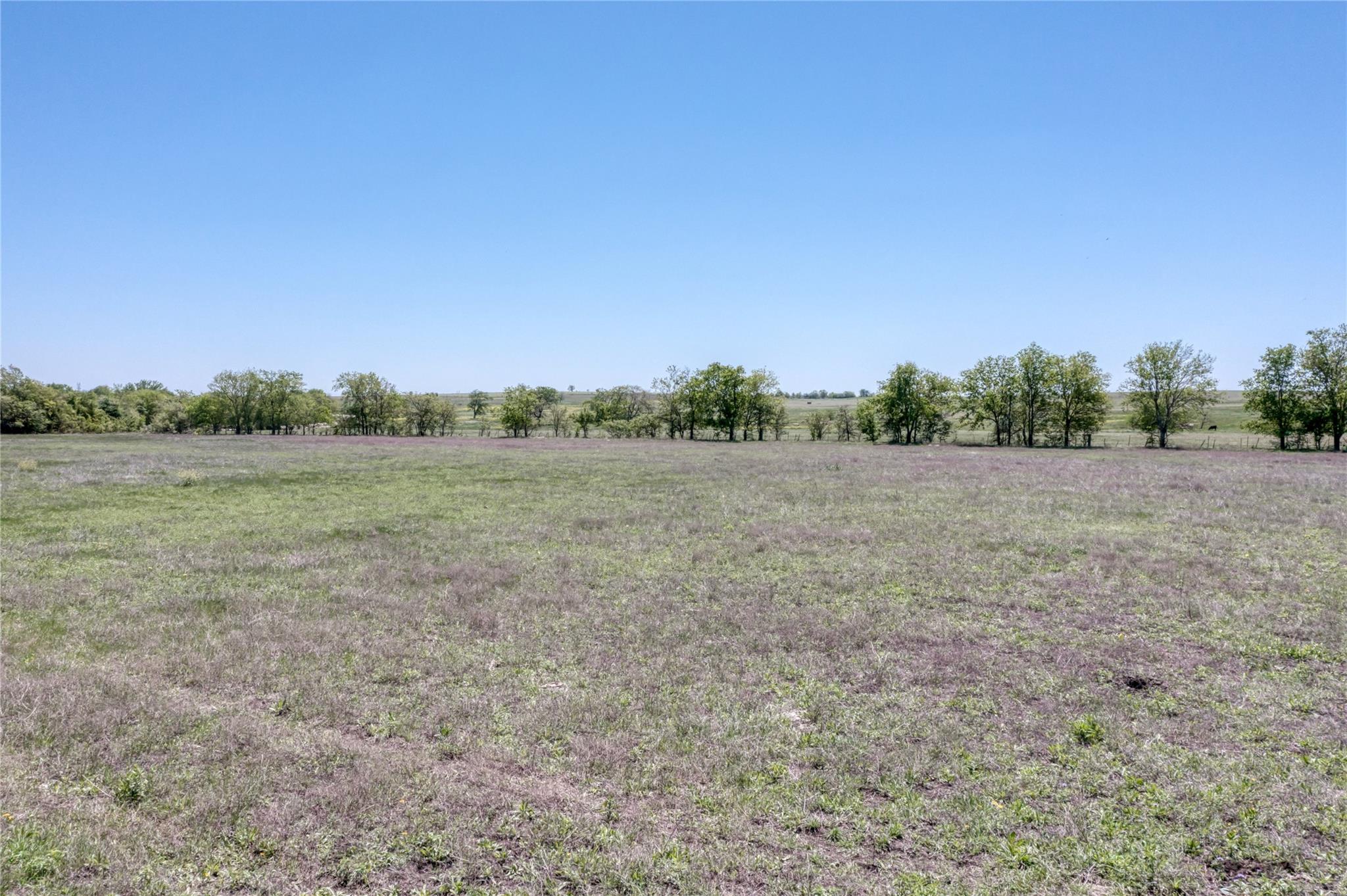 TBD Block 2 Lot 8 Hackberry Lane