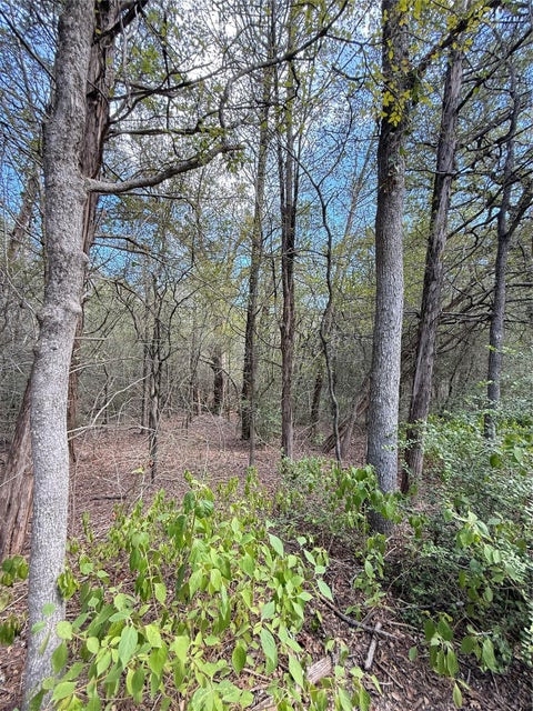 Photo of TBD Hanauma, Bastrop, TX 78602 (MLS # 1437756)