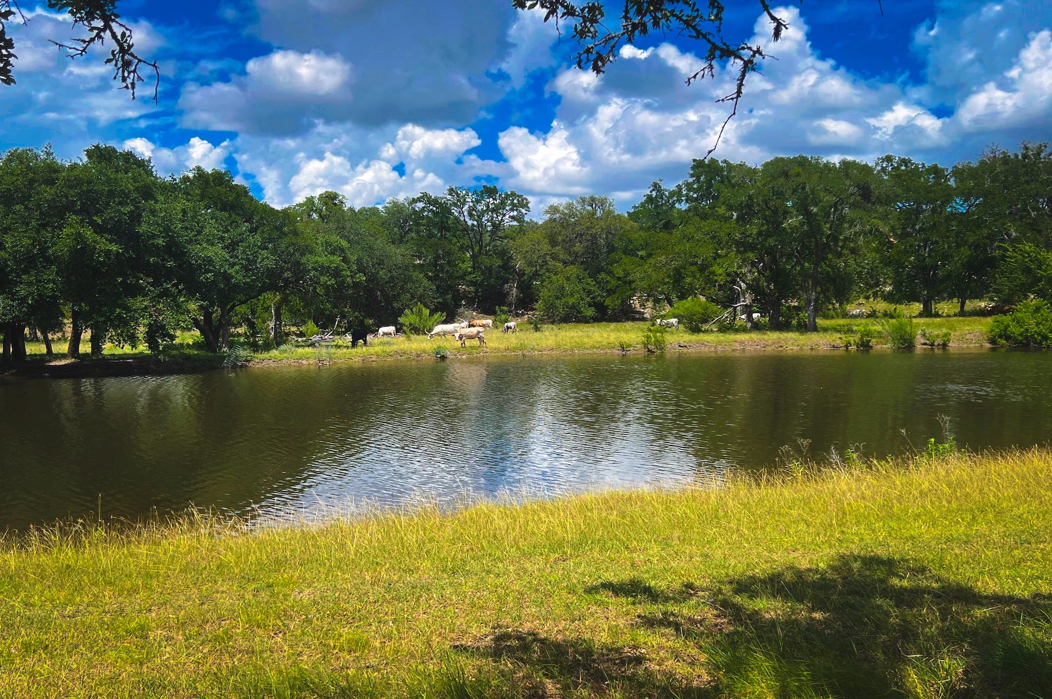 1364 N Walnut Springs DR