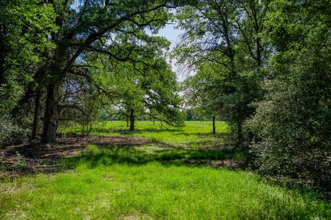 1012 County Road 438 Lexington TX 78947
