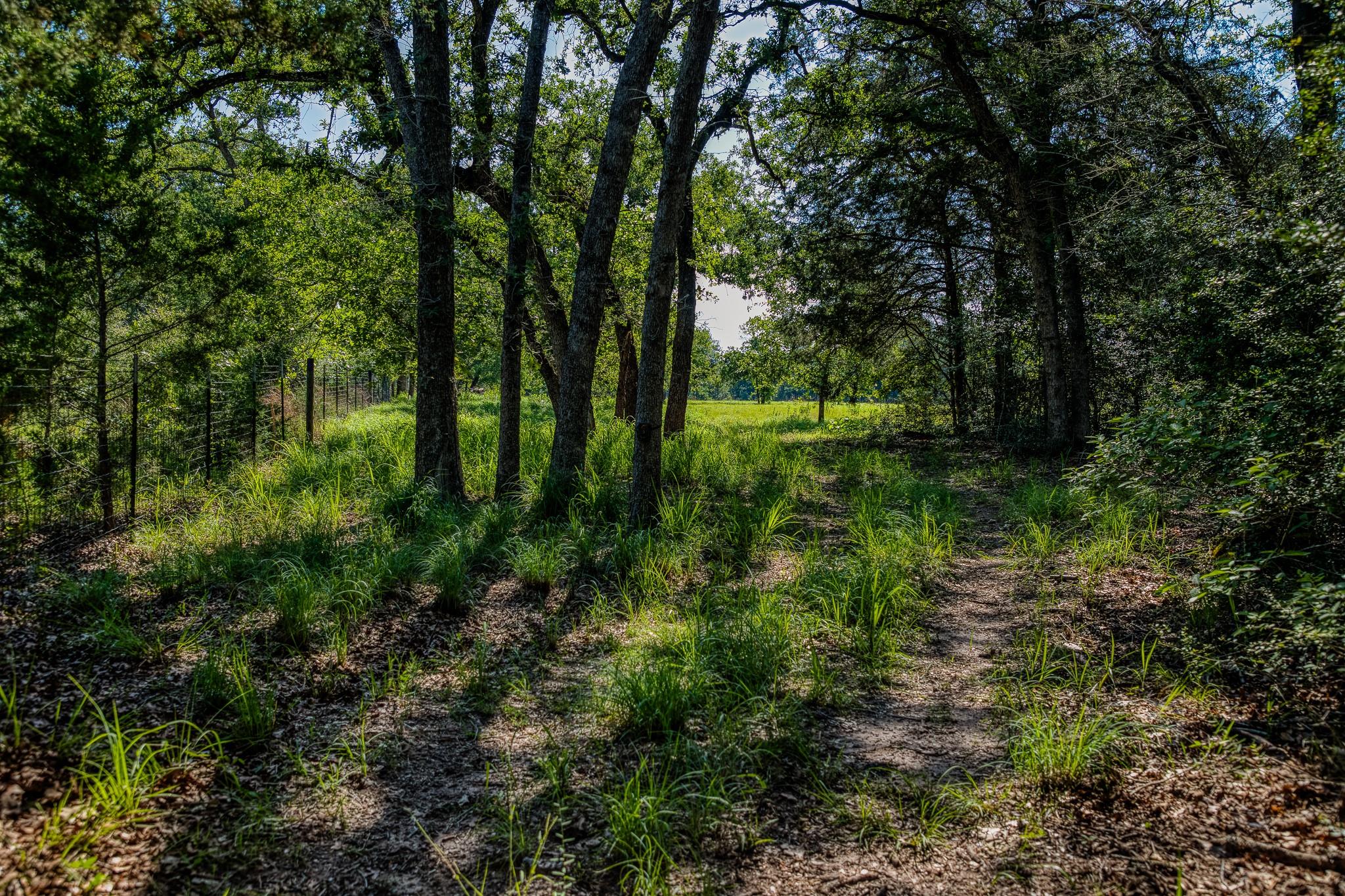 1012 County Road 438