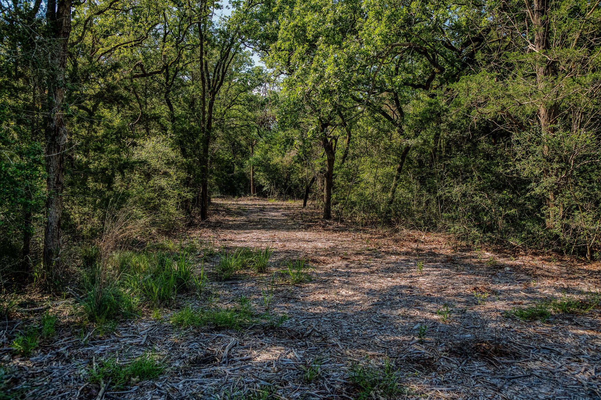 1012 County Road 438