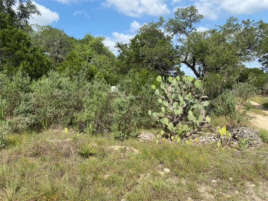 105 LANES LN, BUDA, TX 78610 - Image 6351b0dcd34f59b31029bc39b2b06cc2/3054711373