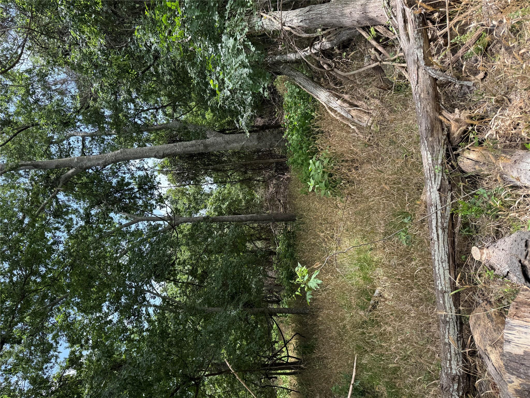 Lot 904 Kahana LN