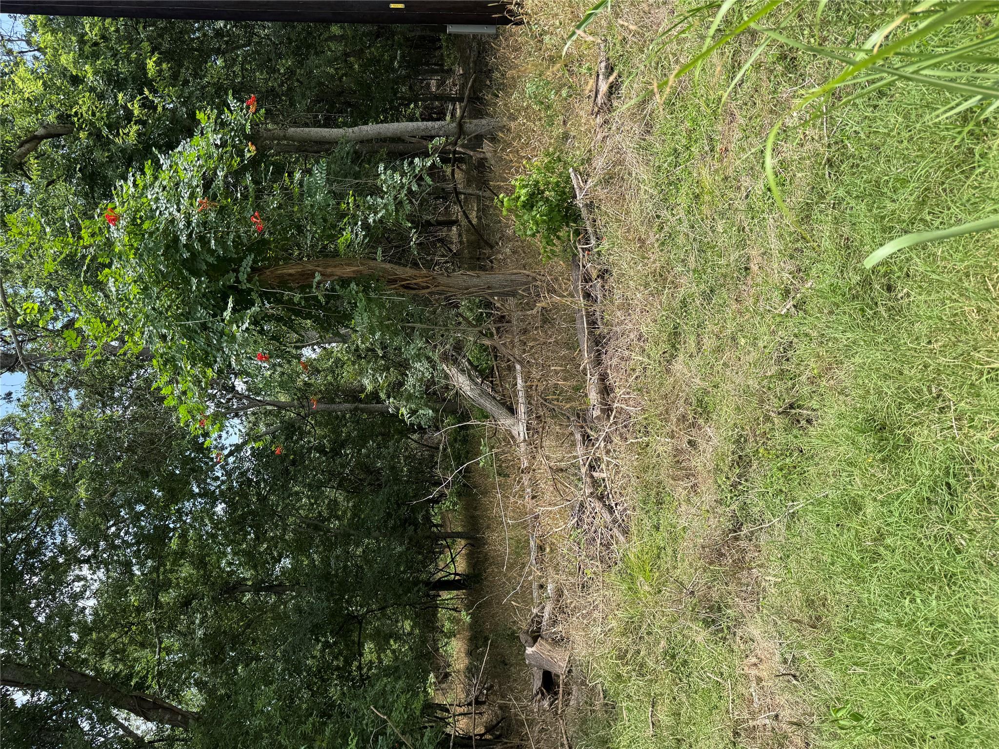 Lot 904 Kahana LN