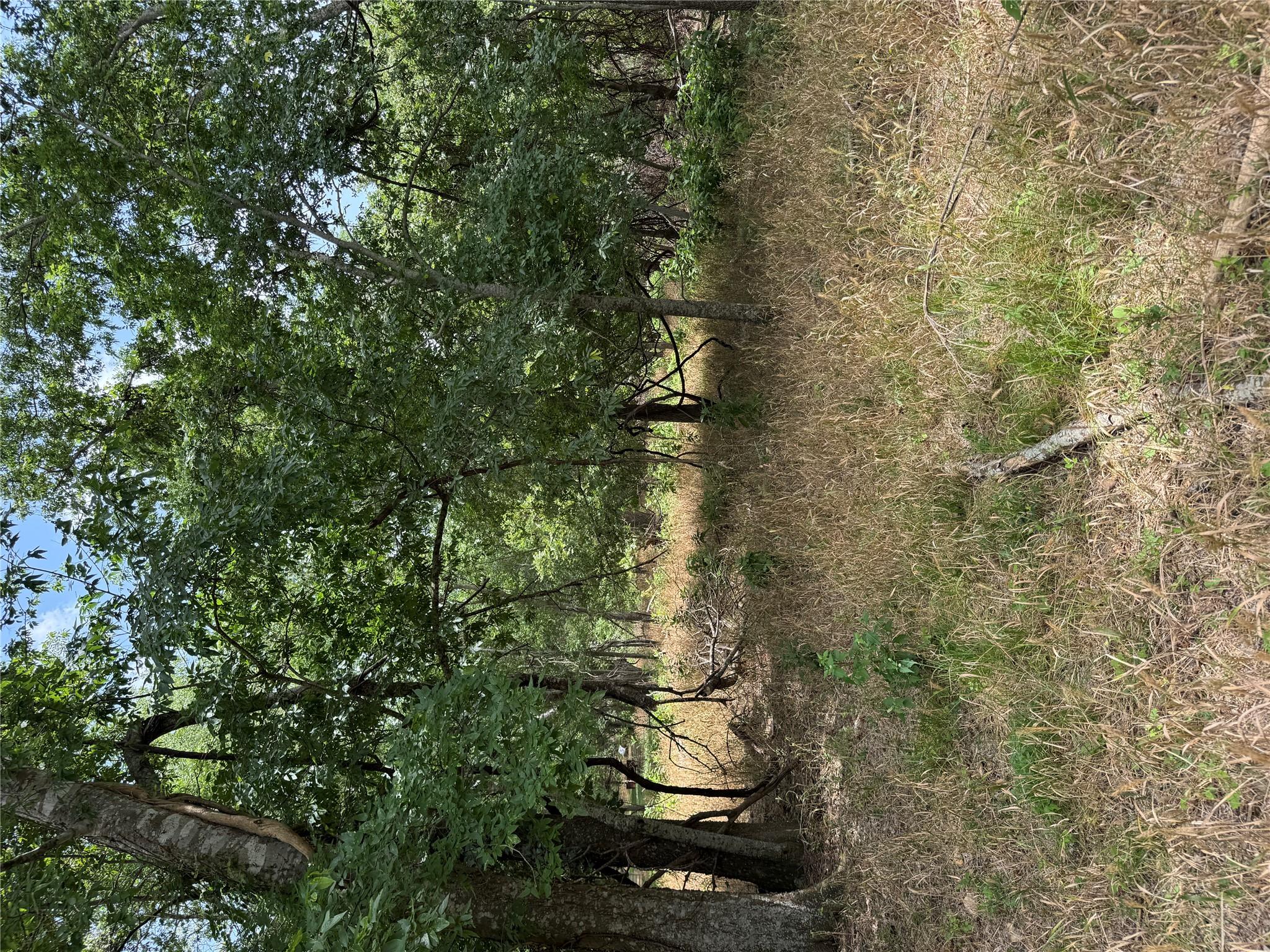 Lot 904 Kahana LN