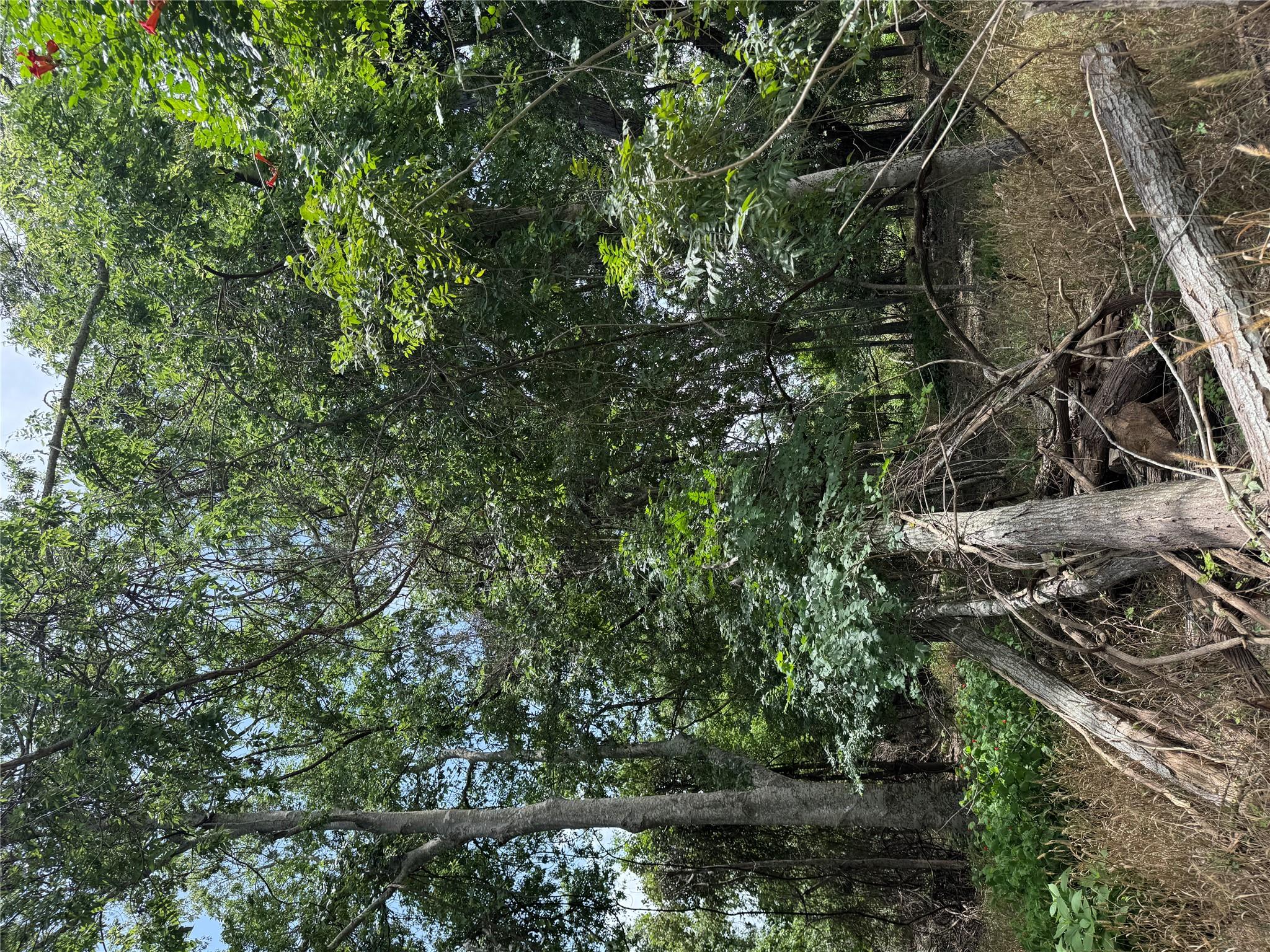 Lot 904 Kahana LN