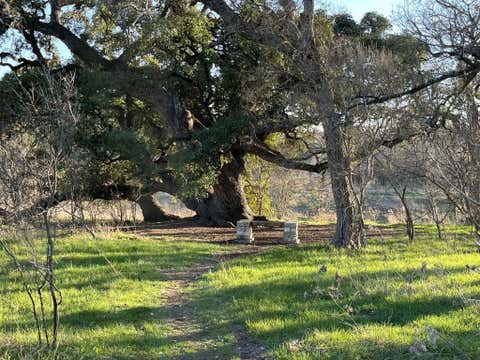 Tiny photo for 2906 Garvey CV, Austin, TX 78748 (MLS # 6608291)