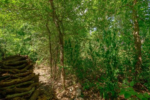 Tiny photo for 8015 Doe Meadow DR, Austin, TX 78749 (MLS # 6143014)