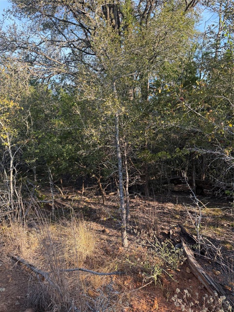 Photo of 160 Helemano DR, Bastrop, TX 78602 (MLS # 8995575)