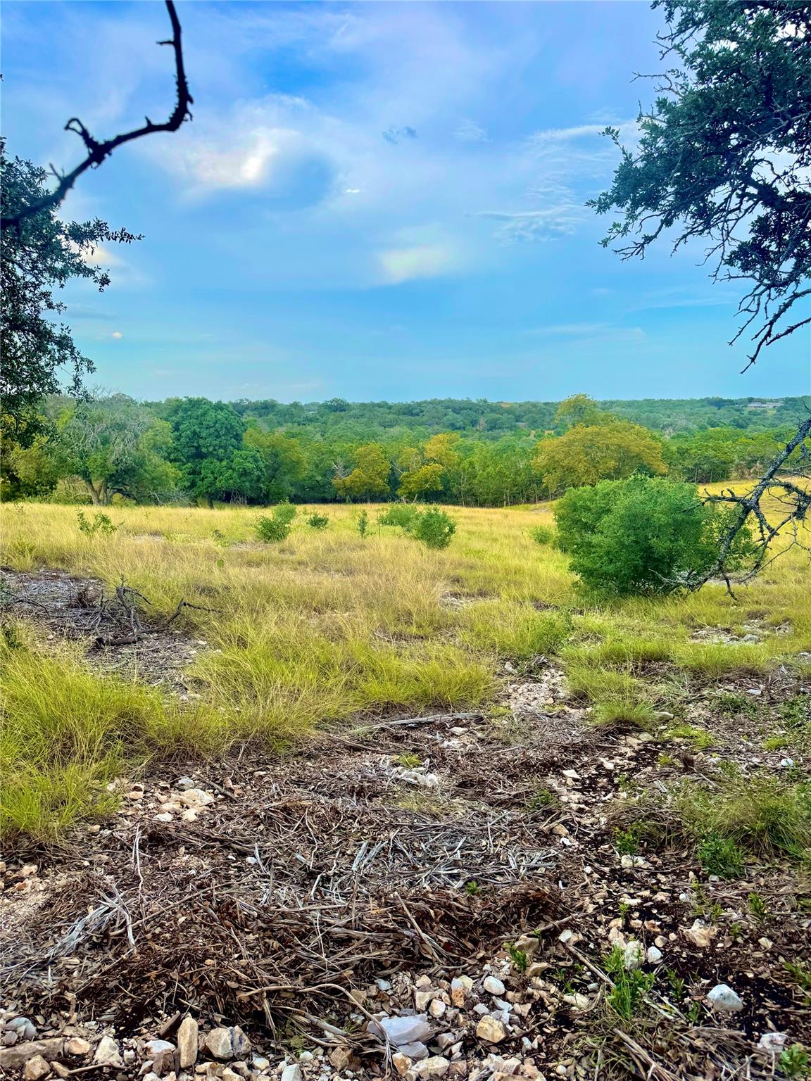 TBD Tract 11 Cattleman's CROSSING DR