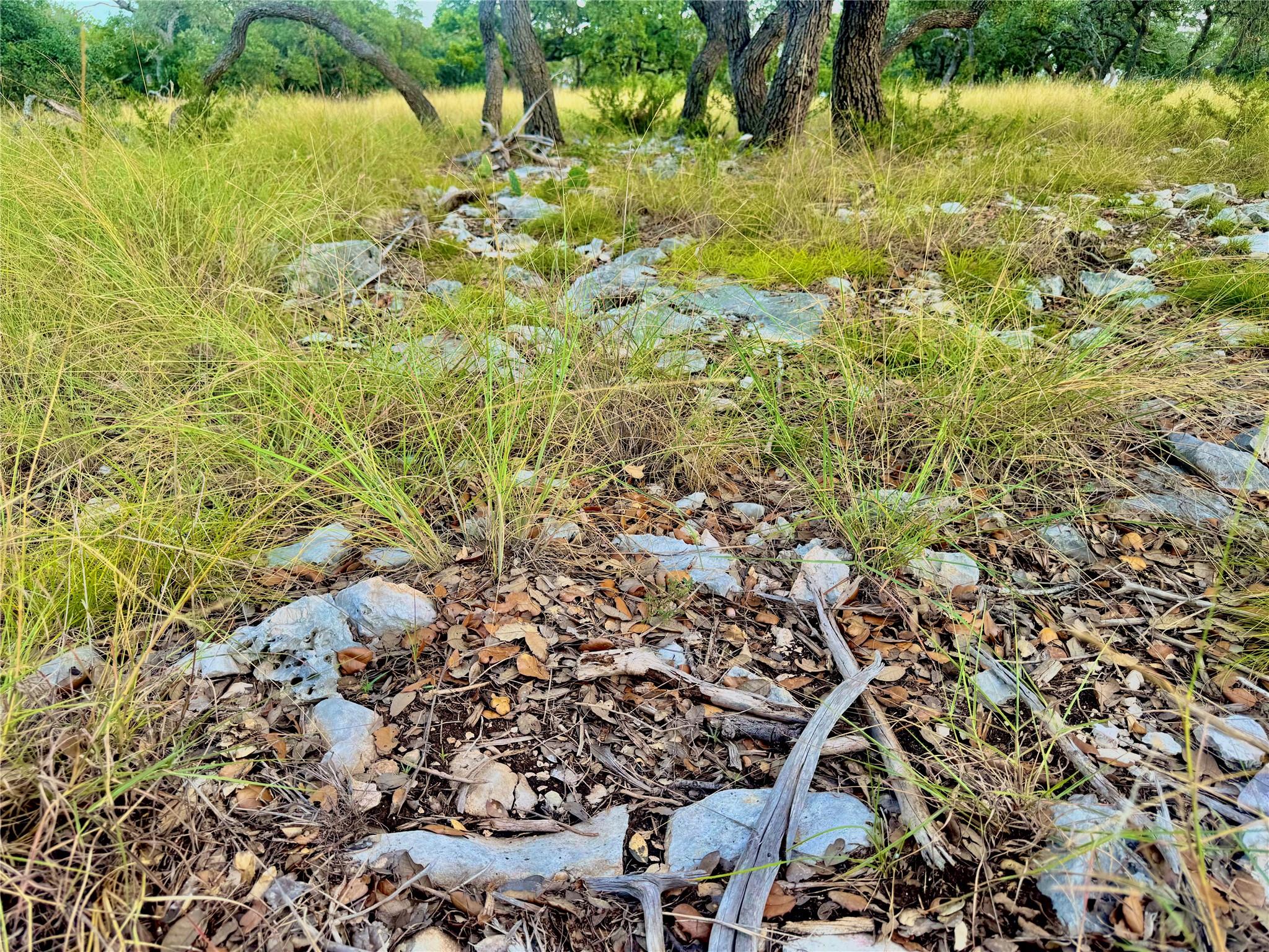 TBD Tract 11 Cattleman's CROSSING DR