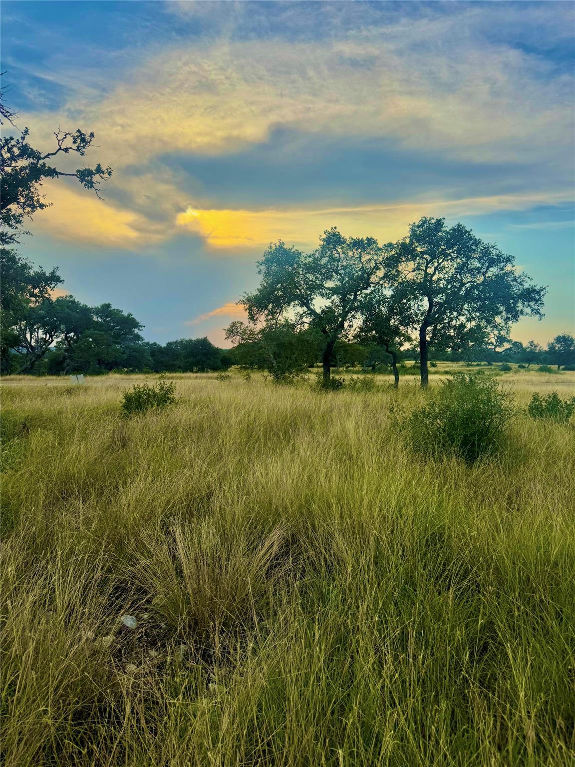 TBD Tract 11 Cattleman's CROSSING DR