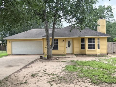 Photo of 142 Nuuanu LN, Bastrop, TX 78602 (MLS # 2563483)
