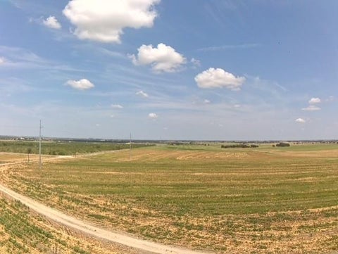 Photo of 1201 County Road 460 RD, Coupland, TX 78615 (MLS # 1352906)