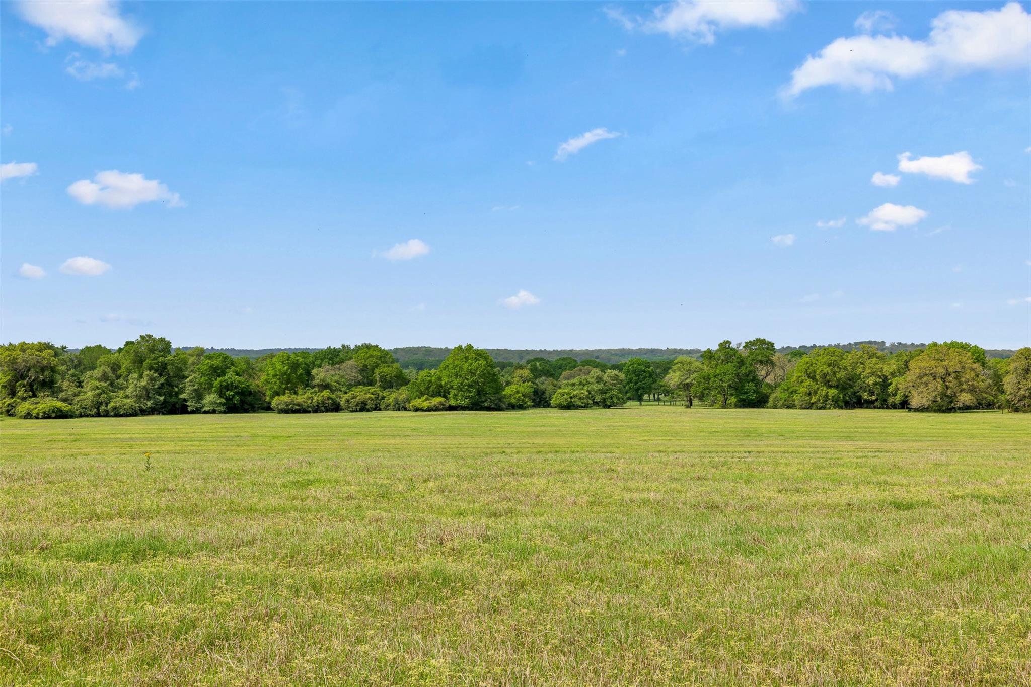 1241 County Road 406