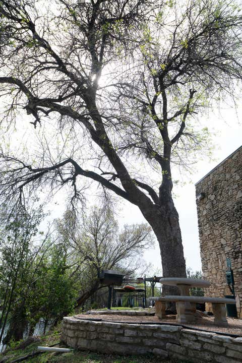 Tiny photo for 500 E Riverside DR #242, Austin, TX 78704 (MLS # 7440009)