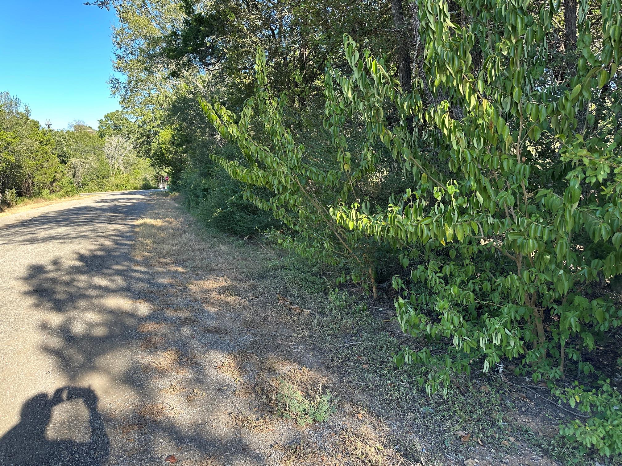 LOT 9 Robin RUN