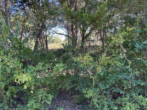 Photo of LOT 9 Robin RUN, Bastrop, TX 78602 (MLS # 6765429)