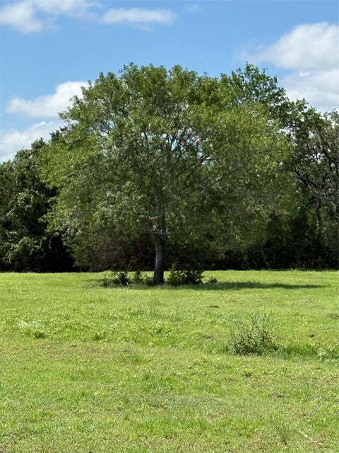 Photo of 1749 FM 535, Smithville, TX 78957 (MLS # 8855962)