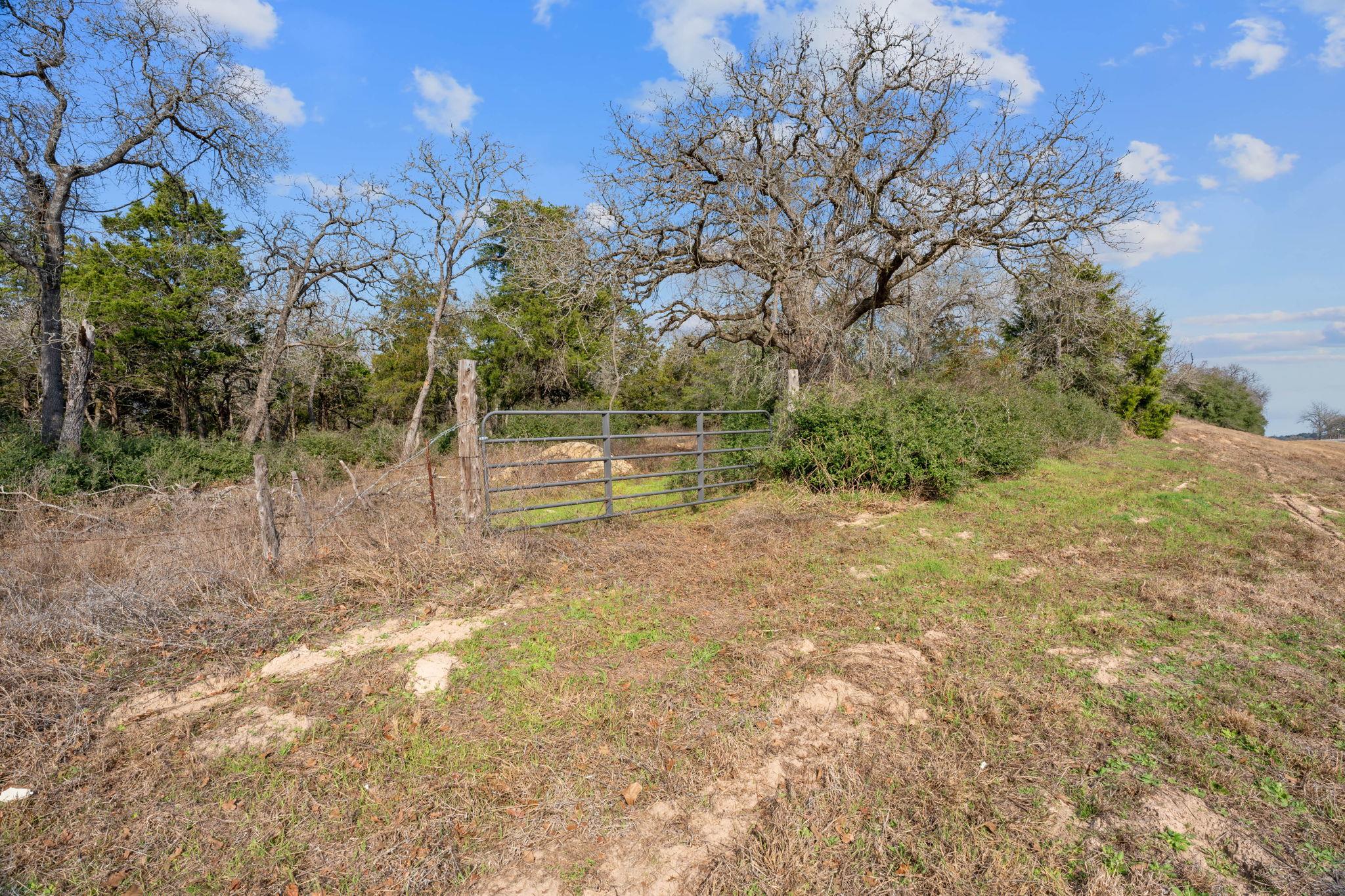 16945 Farm to Market 713