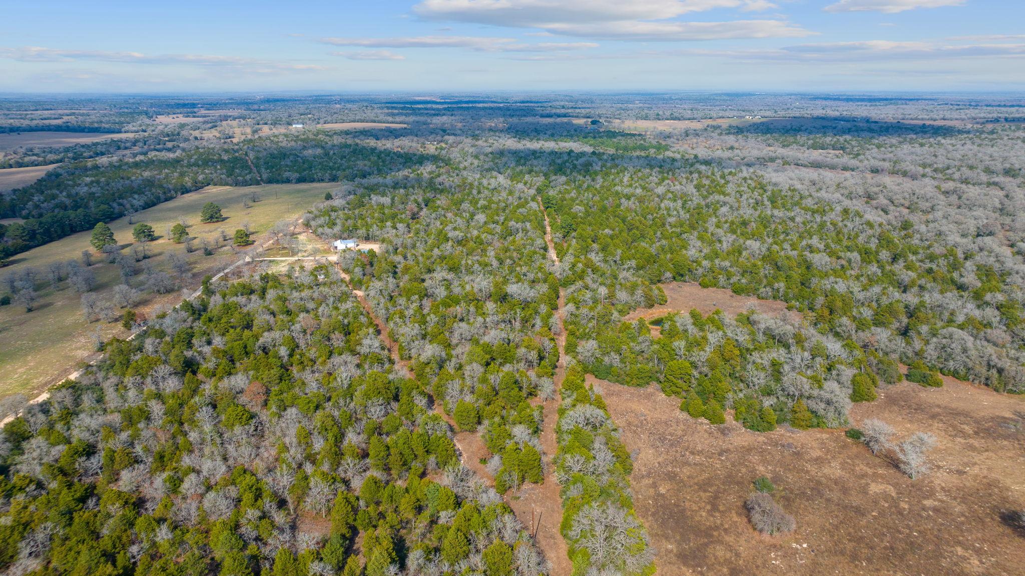 16945 Farm to Market 713