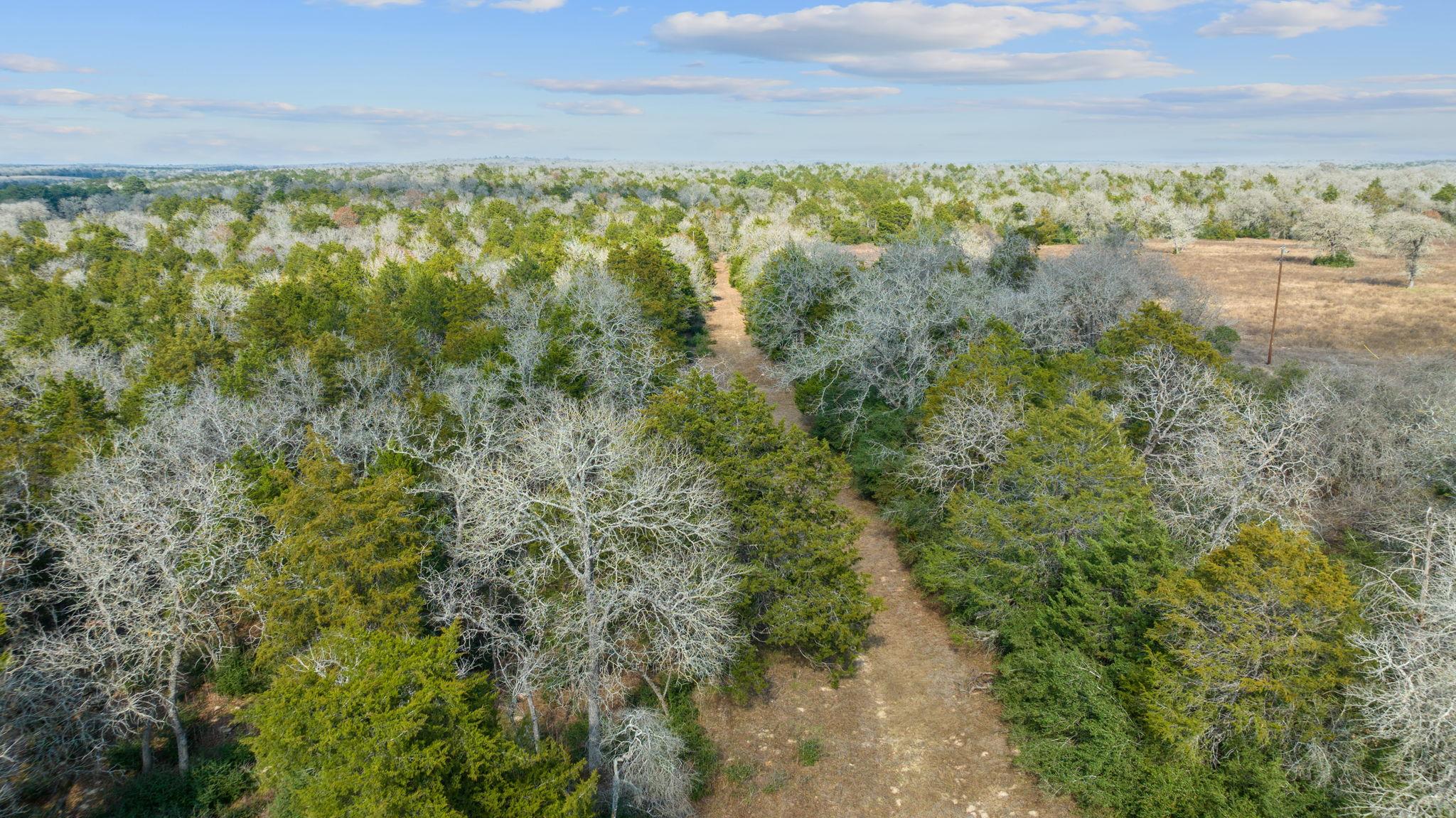 16945 Farm to Market 713