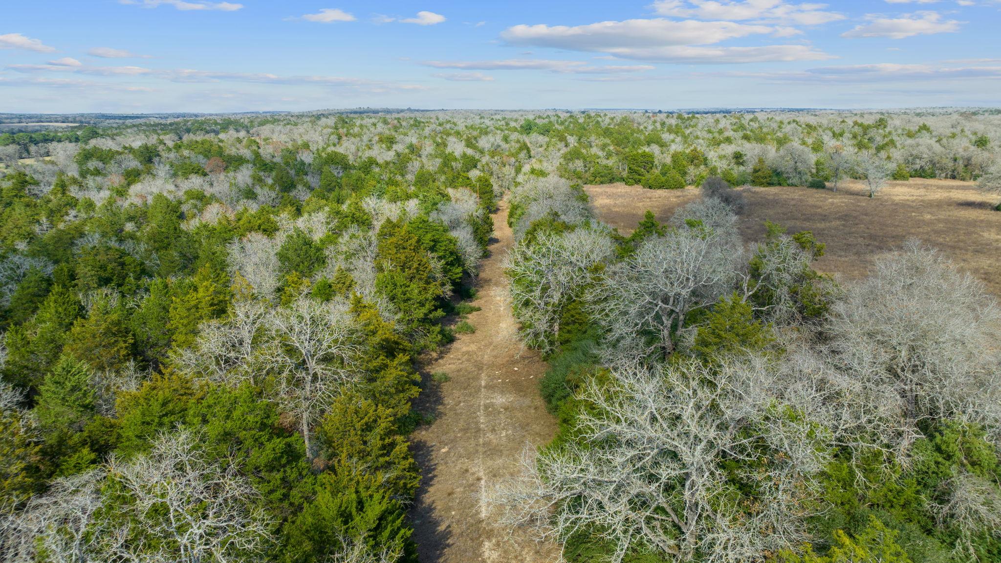 16945 Farm to Market 713