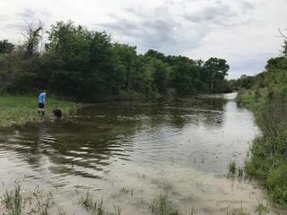 Photo of TBD County Road 243, Florence, TX 76527 (MLS # 4832455)