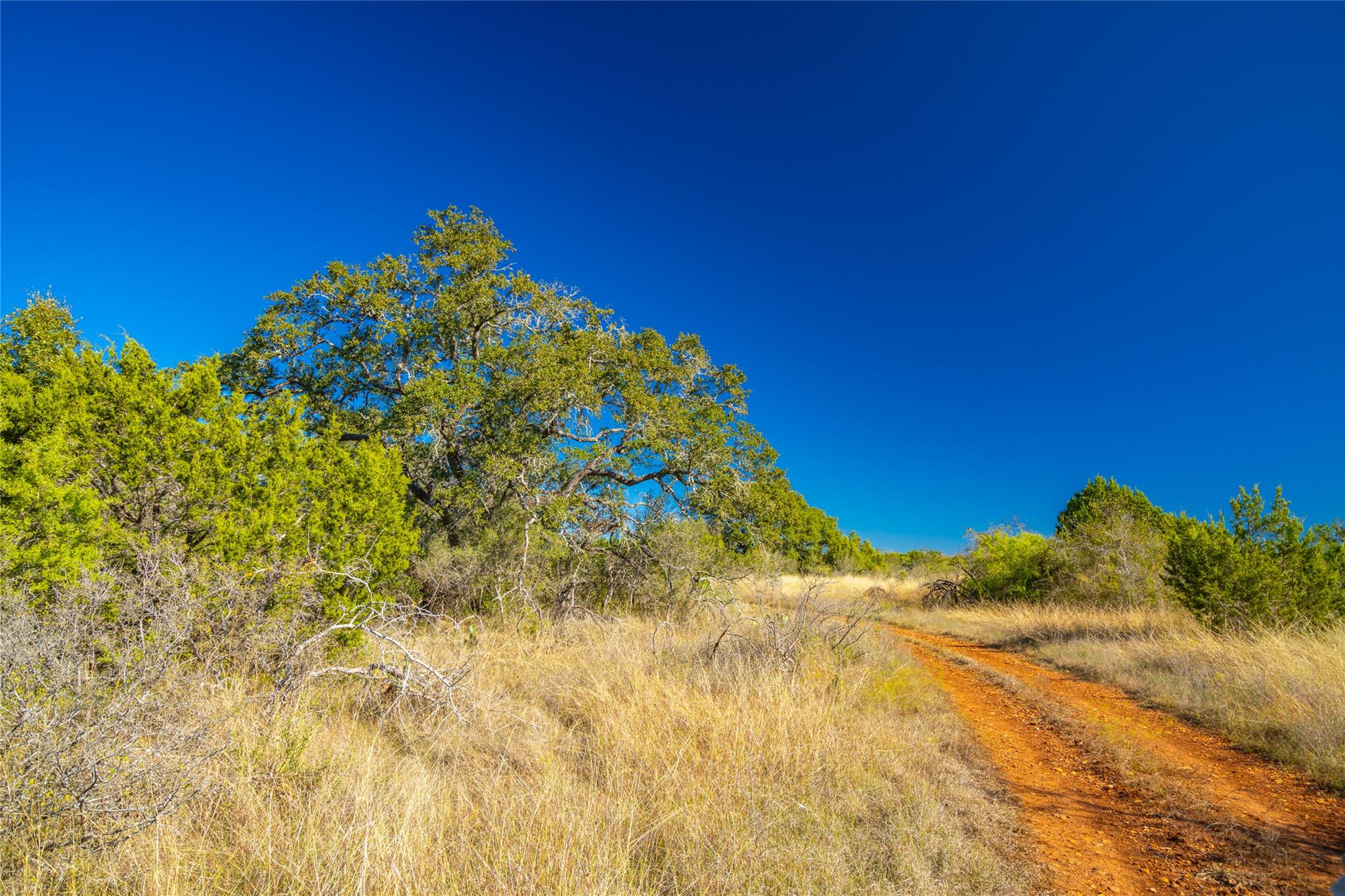 00 Quail Run DR