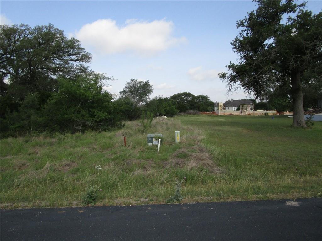 New Braunfels, Texas 78132, United States, ,Land,Pending,74841