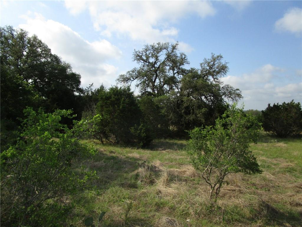 New Braunfels, Texas 78132, United States, ,Land,Pending,74841