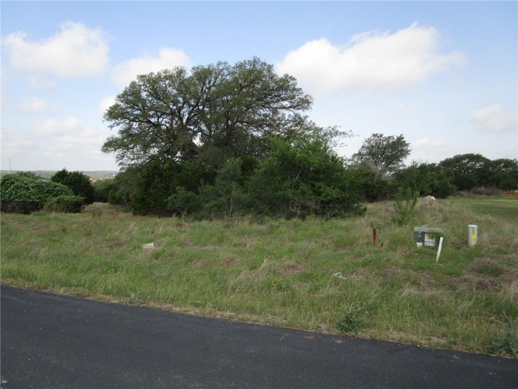 New Braunfels, Texas 78132, United States, ,Land,Pending,74841