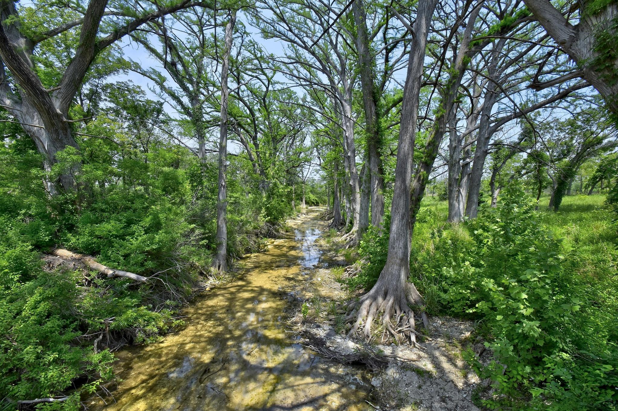 134 Narrows RD