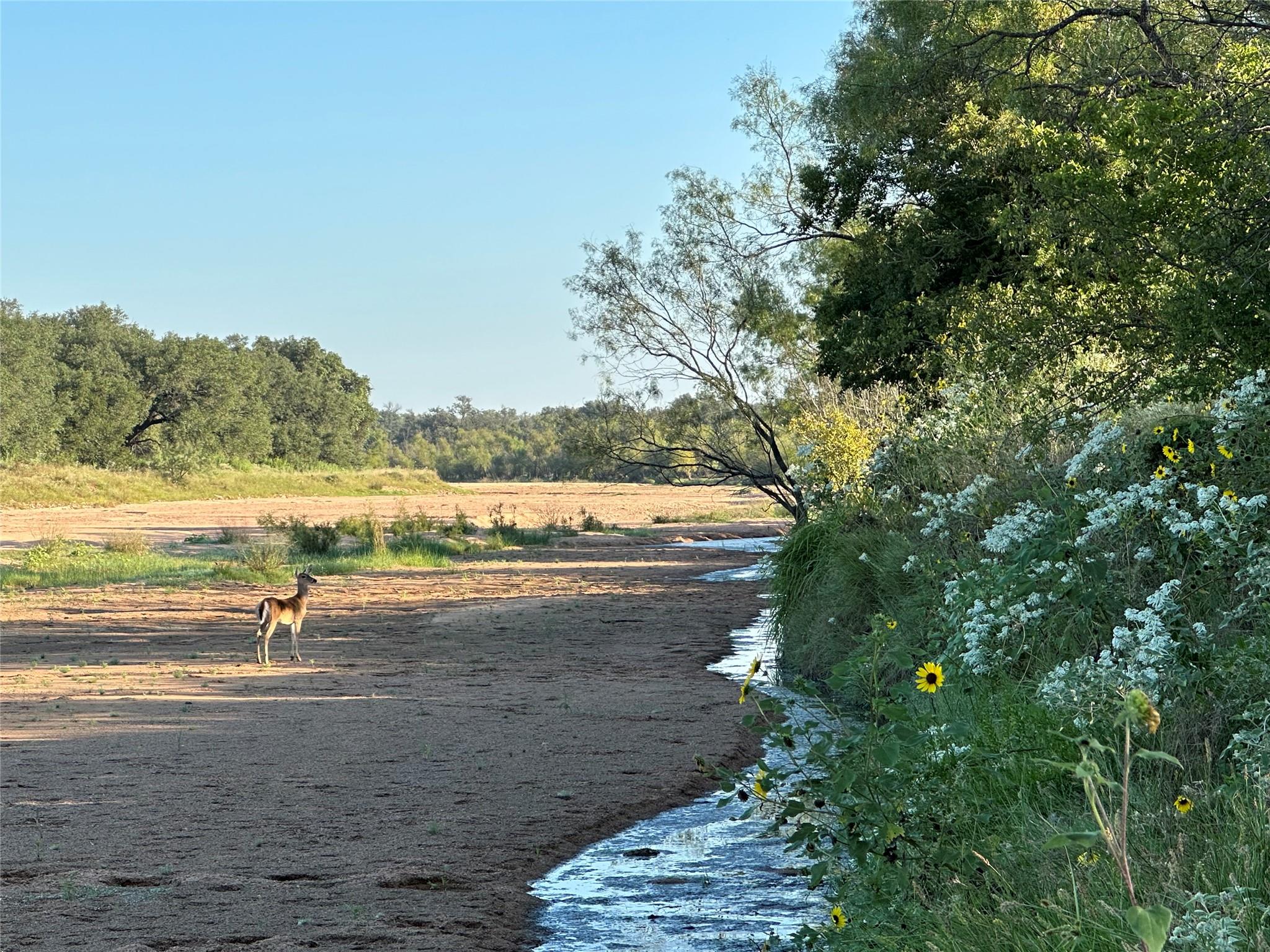 2976 Lower Willow Creek RD