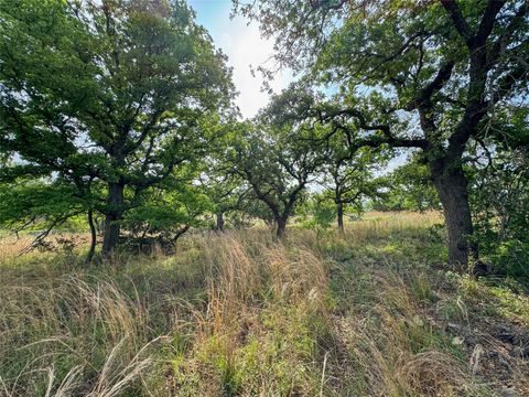 TBD Fly Gap RD Mason TX 76856
