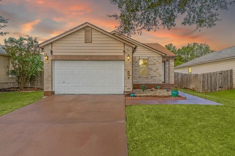 Photo of 141 Beech DR, Kyle, TX 78640 (MLS # 8171302)