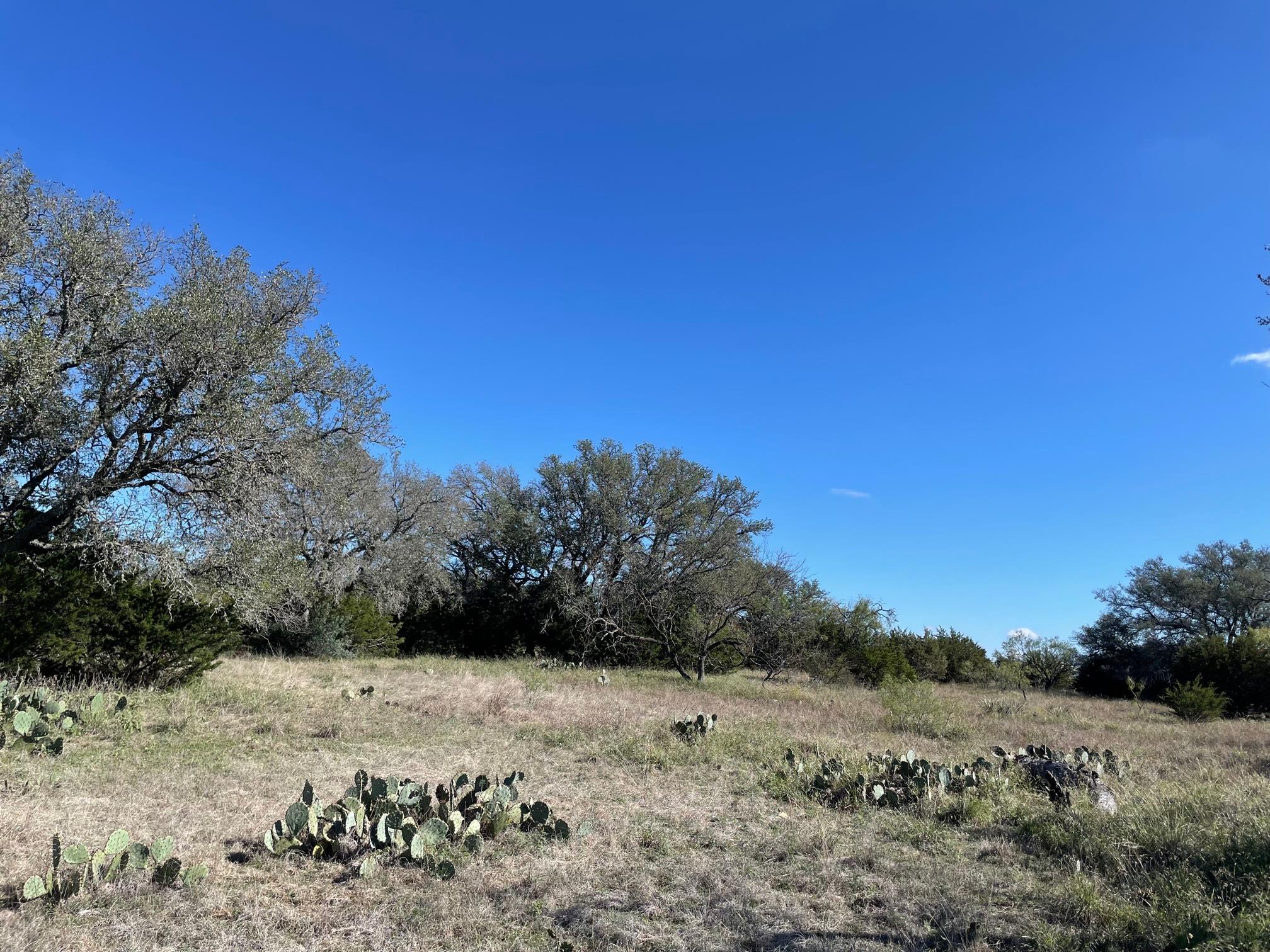 119 Spanish Oak DR