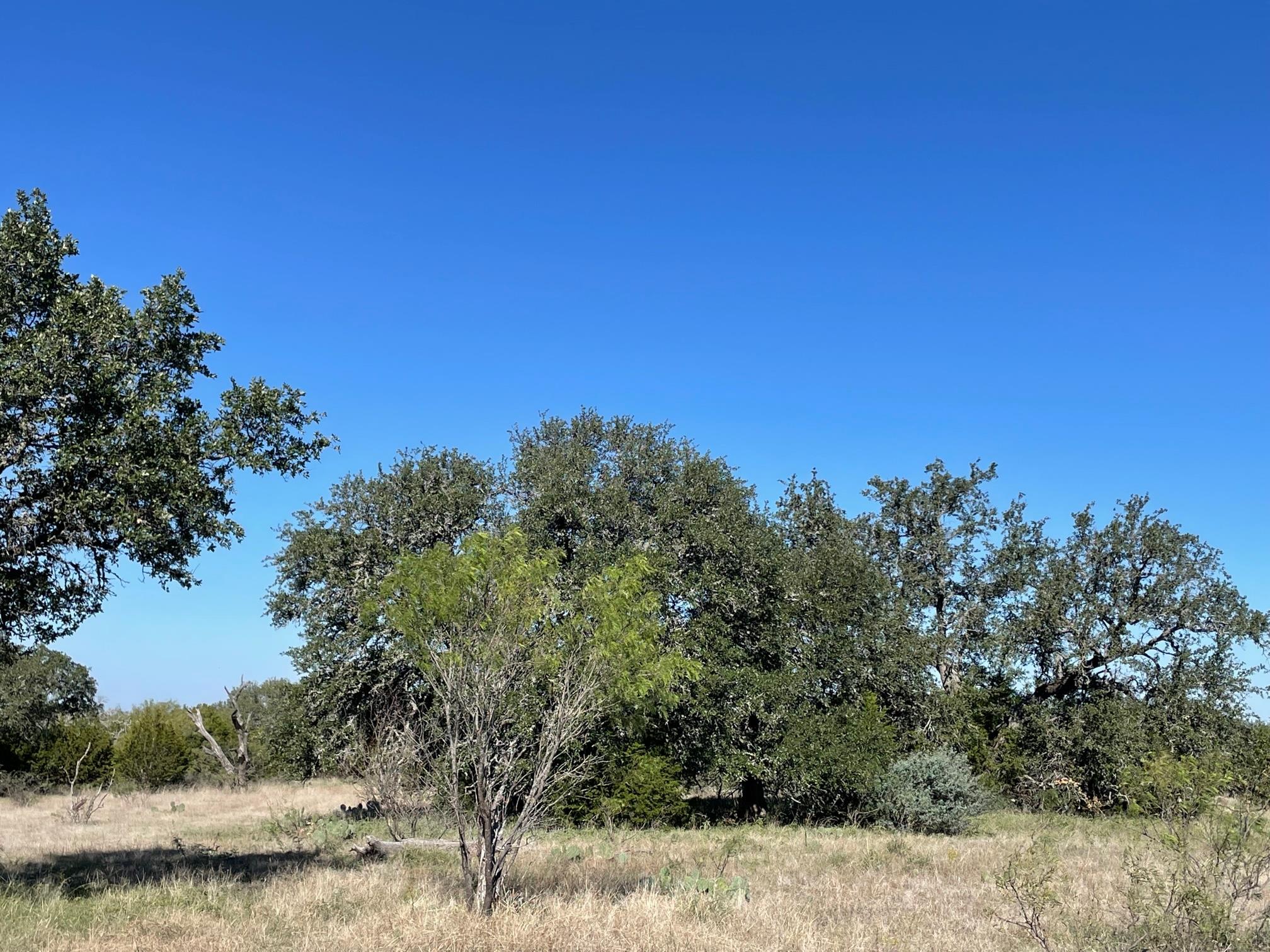 119 Spanish Oak DR