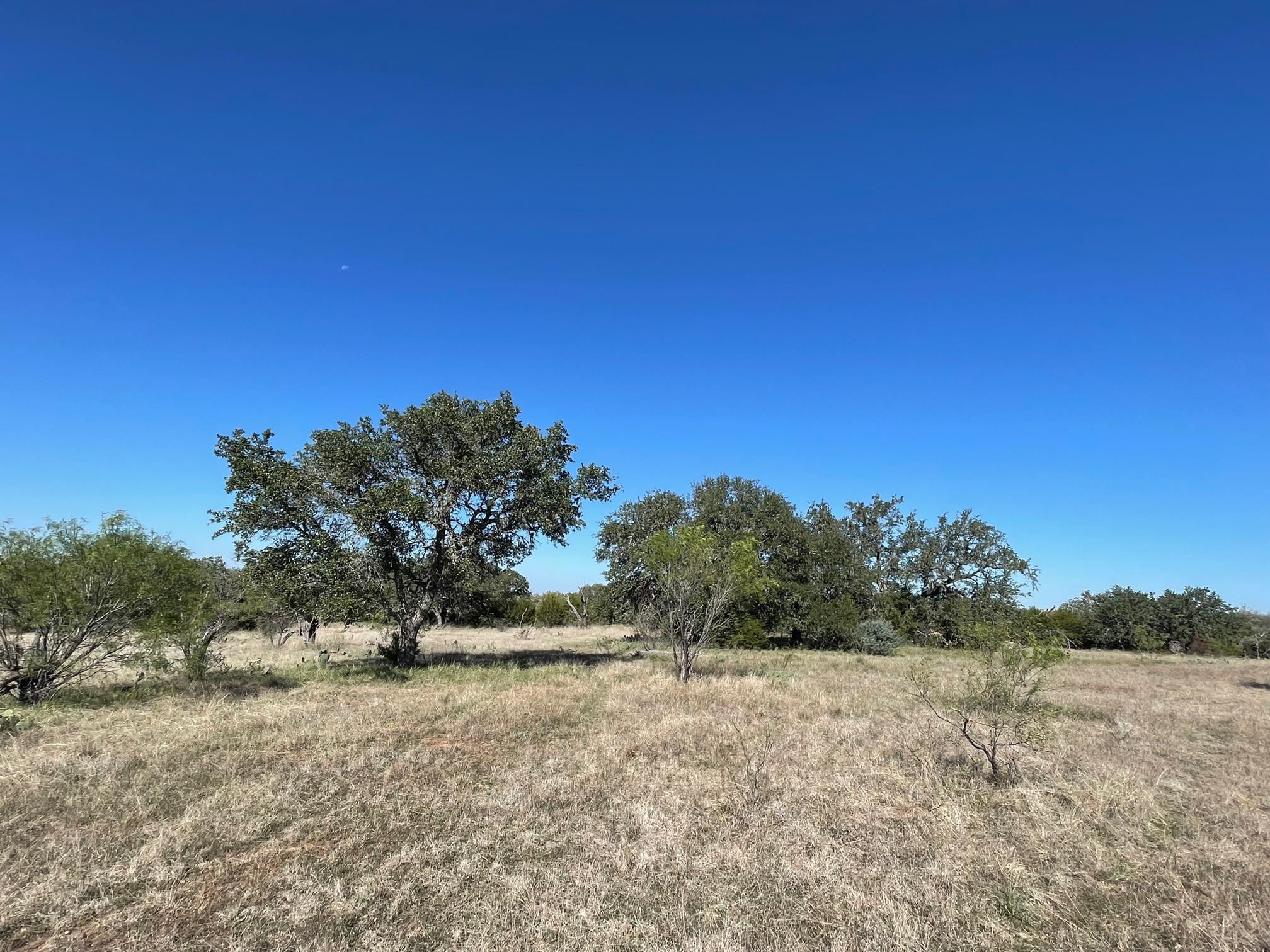 119 Spanish Oak DR