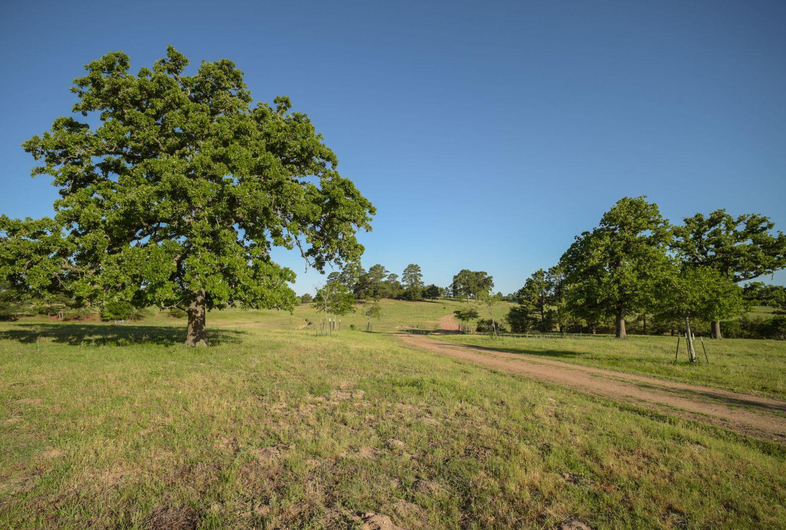 0000 Gotier Trace RD
