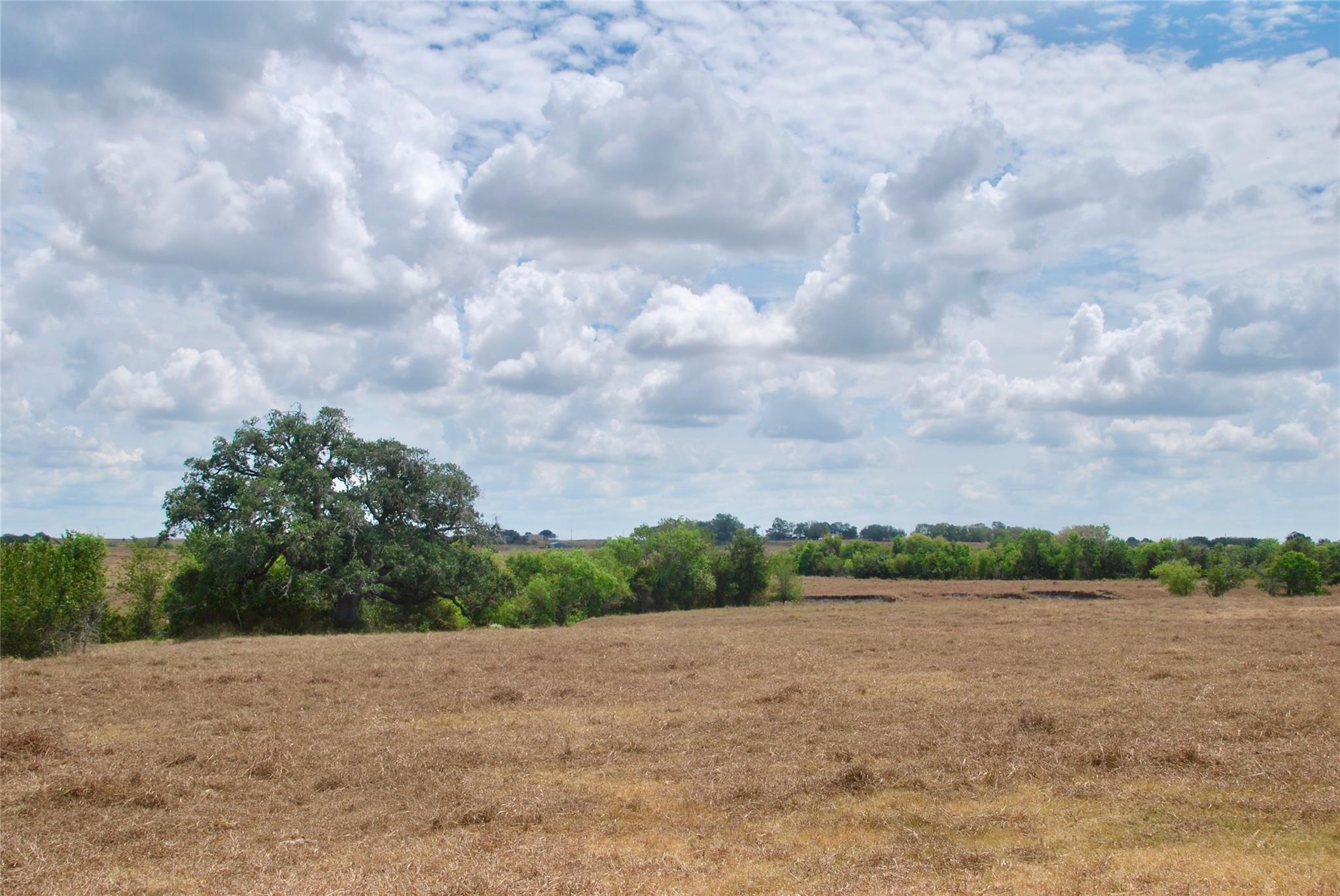 Tract 4 County Road 366