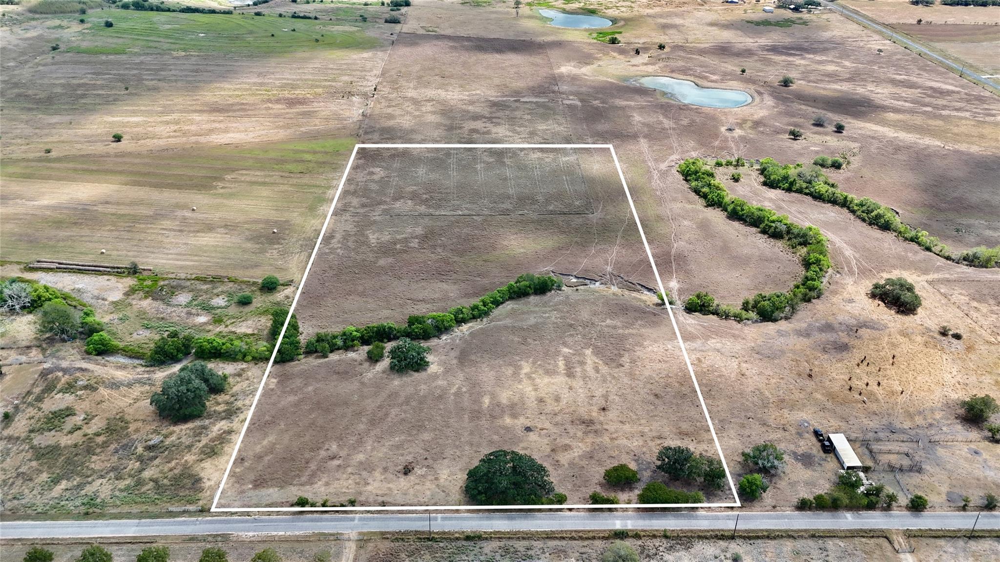 Tract 4 County Road 366