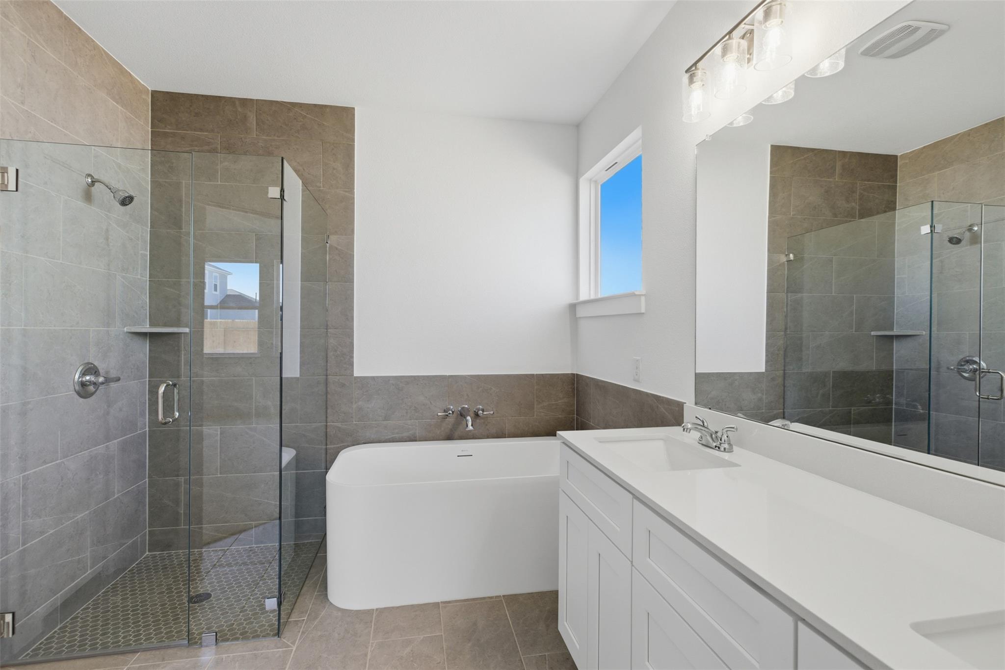 19101 Sedge Wren Ariel Elena LN