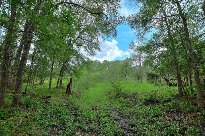Photo 1 of 25 — TBD E Whitworth LN E, Bastrop, TX 78602