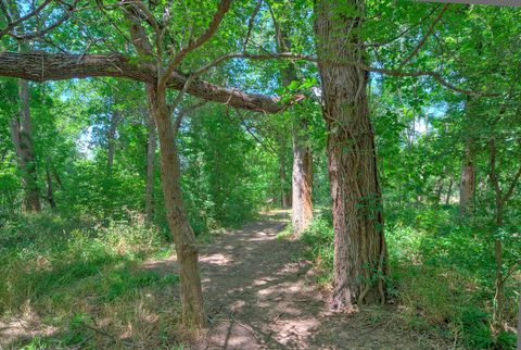 Tiny photo for 906 & 828 Water ST, Webberville, TX 78653 (MLS # 7071482)