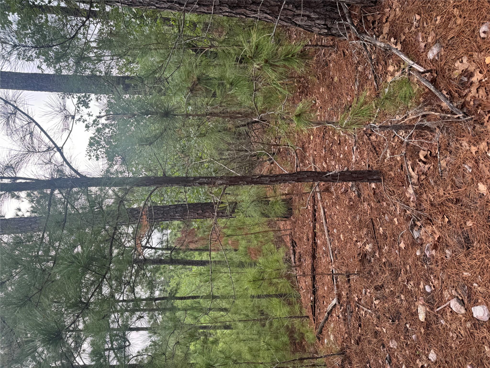 Lots 1490, 1491, 1492, Haleakala