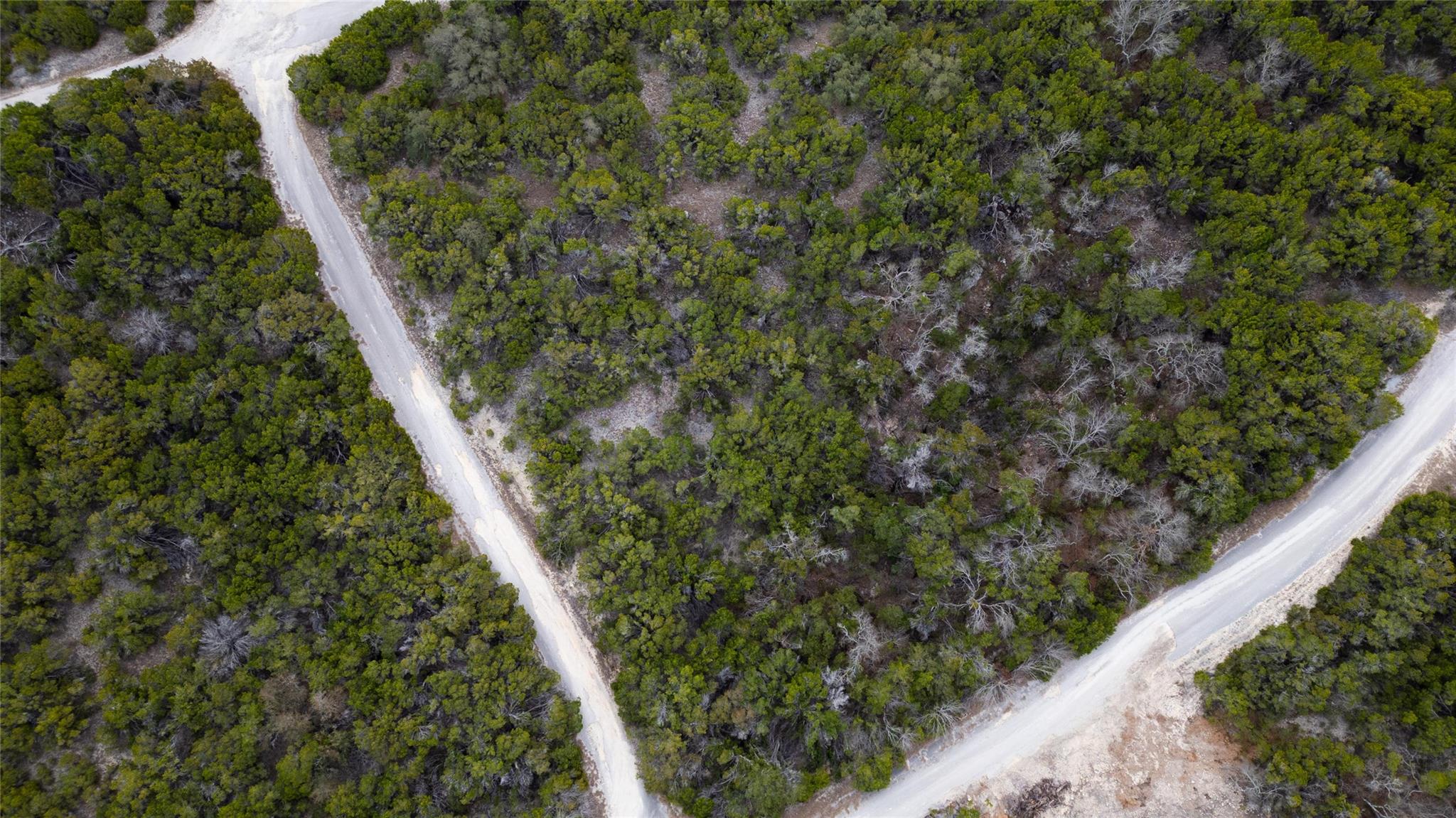 20605 Telegraph PASS